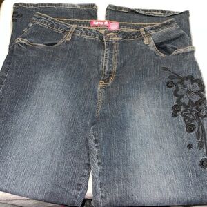 Zana Di Blue Floral Embroidered Jeans with Subtle Fading